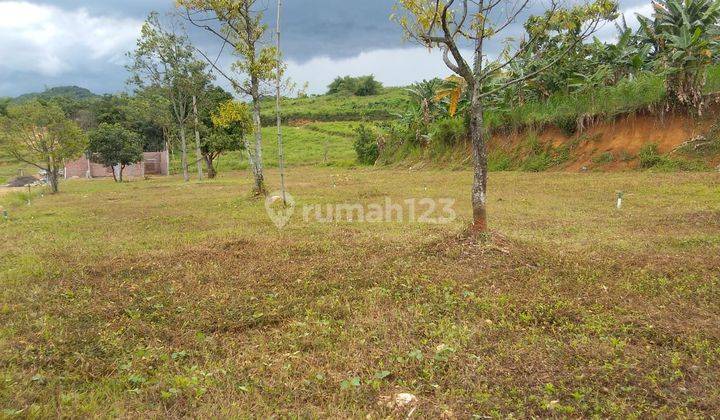 Tanah murah Deket area perumahan di cileungsi 1