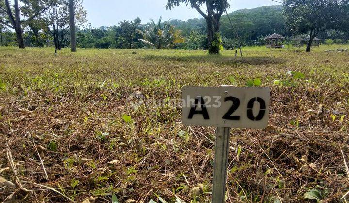 Tanah murah Deket area perumahan di cileungsi 3