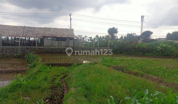 Sawah murah Deket area pasar setrategis  2