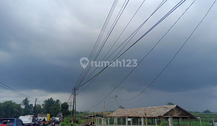 Sawah murah Deket area pasar setrategis  5