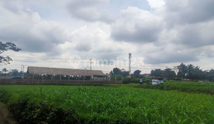 Sawah murah setrategis Deket area pasar di Banyumas  1