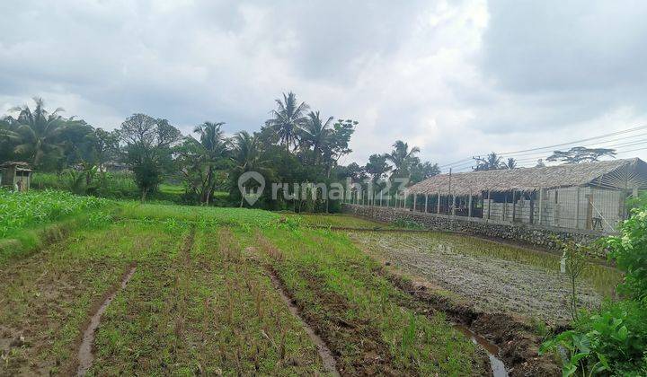 Sawah murah setrategis SHM dekat area pasar 1