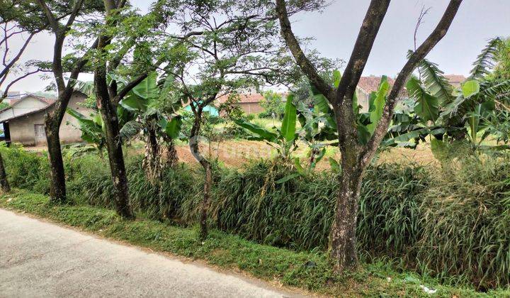 Tanah di Parung Halang, Baleendah, Kabupaten Bandung Ref.04494 2