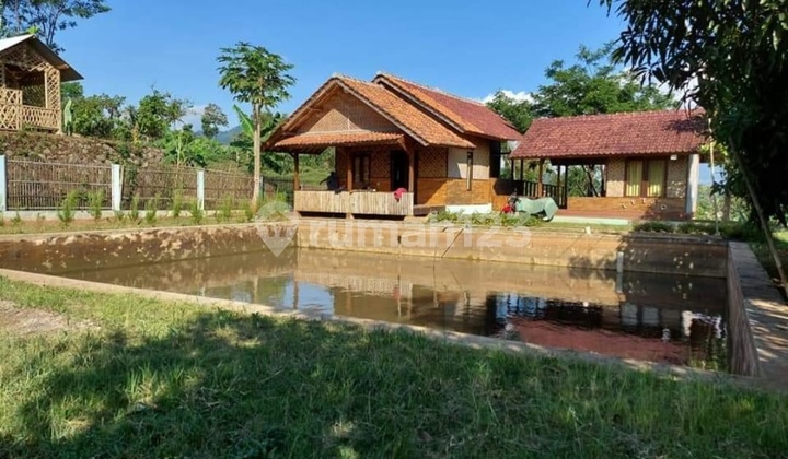 Rumah Villa Siap Huni Untuk Liburan Keluarga Lengkap dengan Kolam Ikan dan Kebun Cimanggung Kab. Sumedang, Rancaekek  4