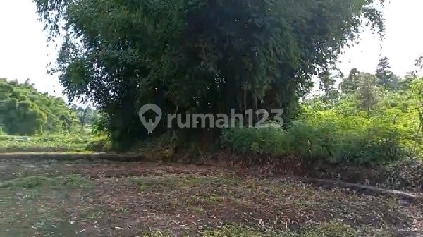 Tanah 6200 M2 Sayap Padalarang, Kbb Ref.04992