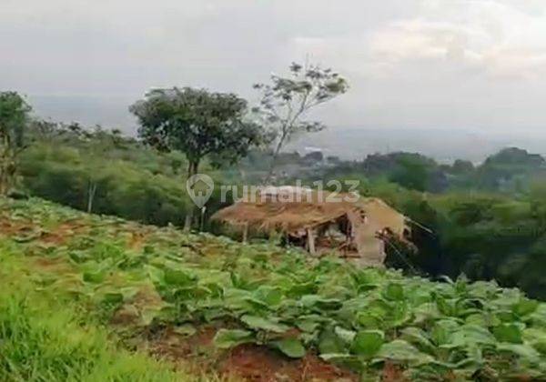 Tanah 2545m2 Sayap Palasari, Cipadung Dekat Sekolah Smp 46 Bandung 2