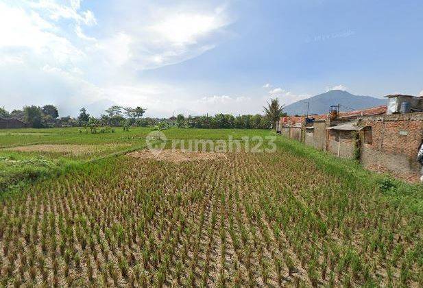 Tanah 3700m2 Rancaekek Cocok Untuk Perumahan Pergudangan Ref.04343 1