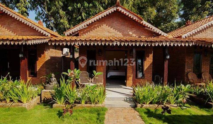KODE RV 19
Di Jual Villa resort joglo dekat candi borobudur magelang, jawa tengah 4