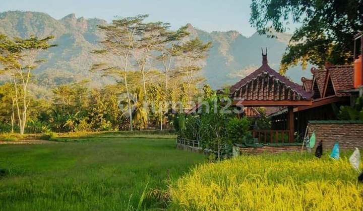 KODE RV 19
Di Jual Villa resort joglo dekat candi borobudur magelang, jawa tengah 11