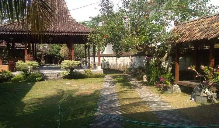 RUMAH JOGLO DI AREA TAJEM MAGUWO YOGYAKARTA