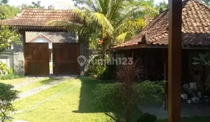 RUMAH JOGLO DI AREA TAJEM MAGUWO YOGYAKARTA