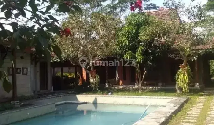 RUMAH JOGLO DI AREA TAJEM MAGUWO YOGYAKARTA