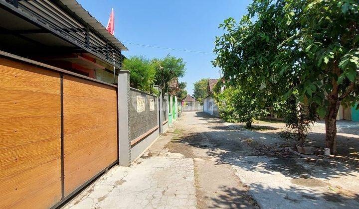 Rumah Cantik Asri Nyaman Tenang Sangat Terawat Dengan Tanah Luas Di Tirtomartani Kalasan Sleman 2