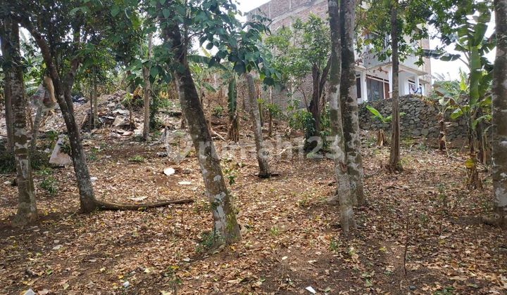 Js527 Lahan Ber Kontur Di Tanjung Barat Cocok Dibangun Villa Atau Kontrakan Js527 Lahan Ber Kontur Di Tanjung Barat Cocok Dibangun Villa Atau Kontrakan