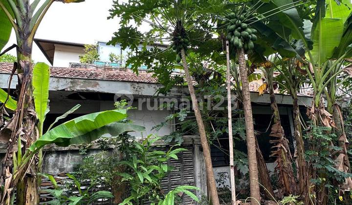 Jp778 Rumah Tua Di Menteng Dijual Lengkap Dengan Paviliun 2
