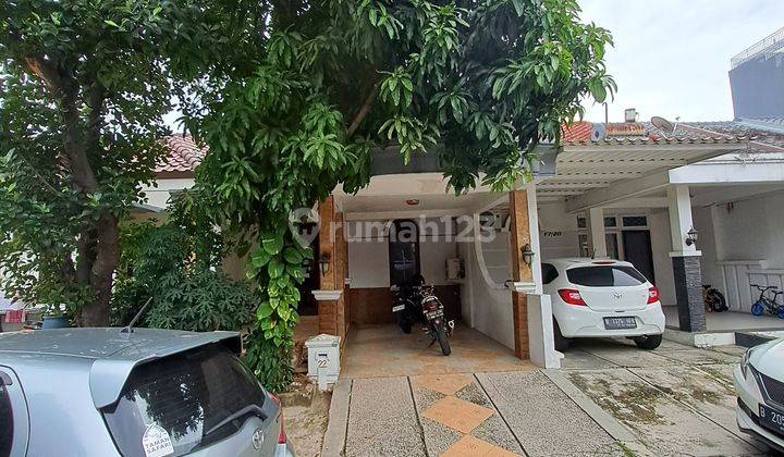 Rumah 1 Lantai Bagus Dan Rapi di Sutera Flamboyan Alam Sutera