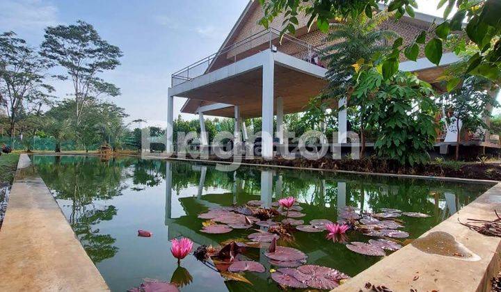 VILLA BANDUNG LUDOGIN GARDEN AREA WISATA SELUAS 8500 M2 HARGA TURUN 1