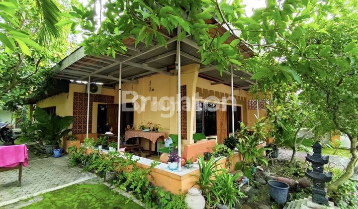 RUMAH ASRI DAN NYAMAN!! LOKASI TENGAH KOTA SOLO!! ISTIMEWA 2