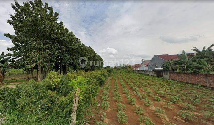 Tanah Murah Cibinong Dekat Stadion Pakansari 3