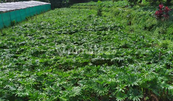 Villa Terawat di Gunung Salak bogor, Legalitas Lengkap 3