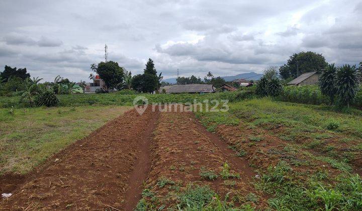 Tanah Murah Pinggir Jalan Cilebut Tanah Sereal, Dekat Stasiun 1