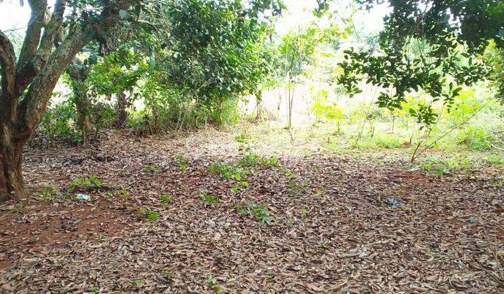 Tanah Kebun Purwakarta Indah, Dekat Tol Cikampek 2