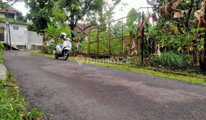 Tanah Pasir Kuda Siap Bangun, Dekat Stasiun Bogor 2