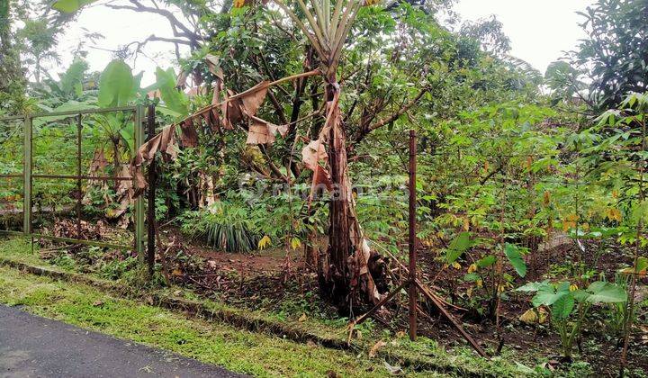 Tanah Pasir Kuda Siap Bangun, Dekat Stasiun Bogor 3