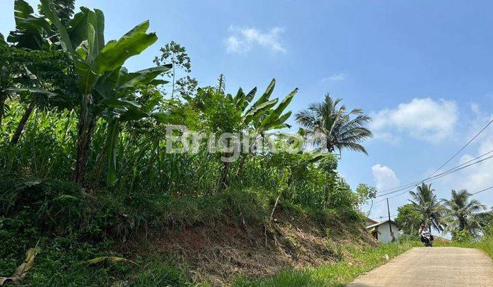 TANAH DATAR MURAH - 30 MENIT DARI PINTU TOL PADALARANG BAIK  UNTUK PERKEBUNAN & PERTERNAKAN - BISA UNTUK PERUMAHAN 2