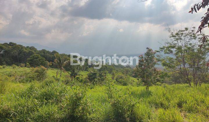 TANAH KEBUN PINGGIR JALAN DESA CIRANGKONG - KUMPAY - BUKIT CIRANGKONG 2