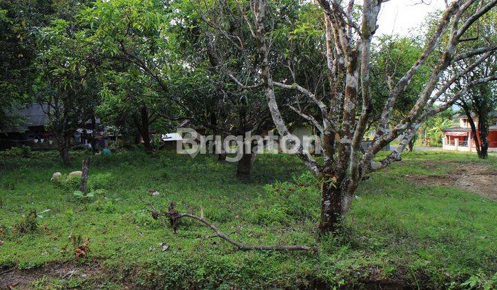 TANAH  DATAR PINGGIR JALAN KAWASAN GEOPARK CILETUH KABUPATEN SUKABUMI 2