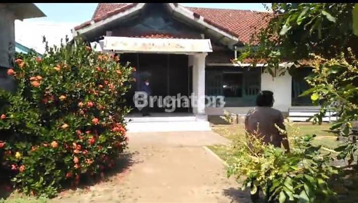 RUMAH MAIN ROAD - TEMPAT USAHA LEGALITAS SHM LEBAR 20 M 1