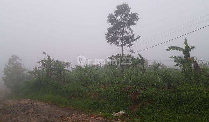 Dijual Murah Tanah Luas Datar di Cigudeg Bogor 1