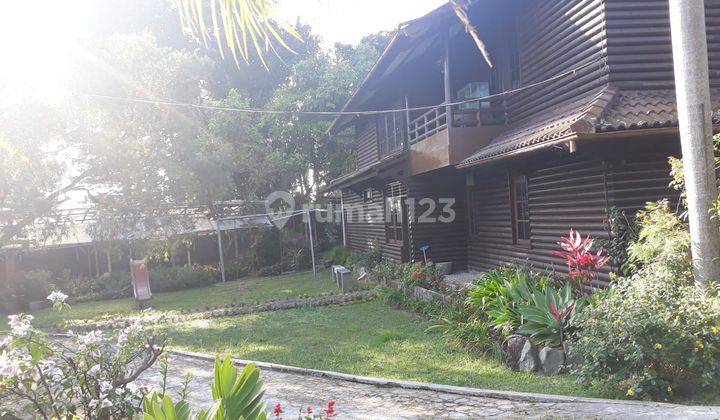 Dijual Rumah Besar Villa 4 Rumah Dengan Halaman Luas 1