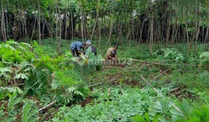 Dijual Cepat Tanah Bagus Untuk Investasi 1