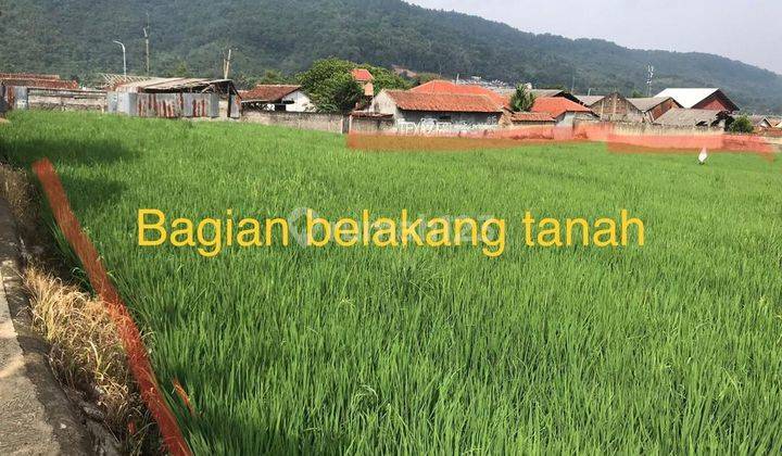 Dijual Cepat Tanah Datar Bagus Untuk Perumahan Atau Usaha Lokasinya Strategis Pinggir Jalan Raya  2