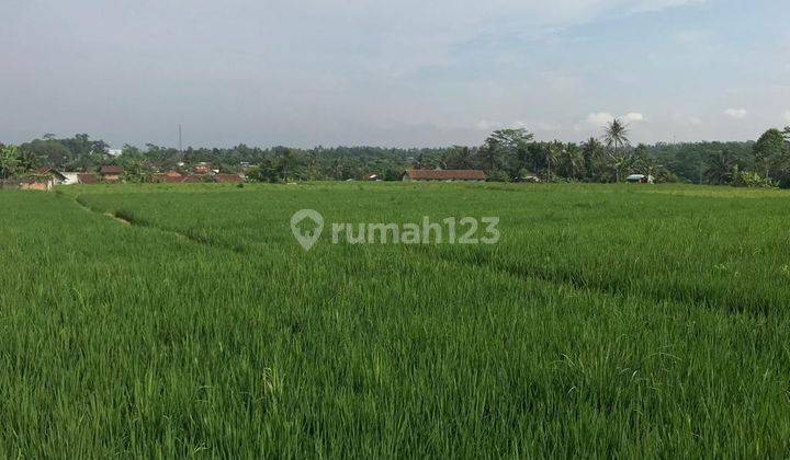 Dijual Cepat Tanah Datar Bagus Untuk Perumahan Atau Usaha Lokasinya Strategis Pinggir Jalan Raya  2