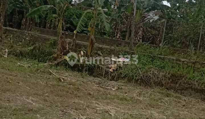 Quick Sale Large Flat Land suitable for investment/plantation located in Gadog Puncak