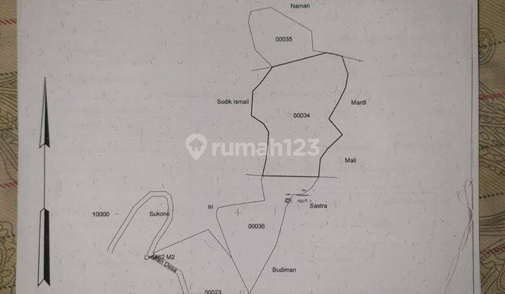 Dijual Cepat Tanah Luas Datar di Leuwiliang Bogor 2