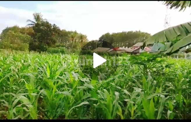For Sale: Large and Flat Land, Ideal for Investment, Agriculture, and Housing in Bogor