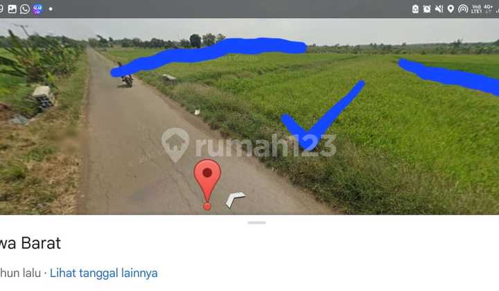 For sale: Productive rice field with 3 harvests per year