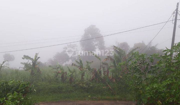 Dijual Murah Tanah Luas Datar di Cigudeg Bogor 2