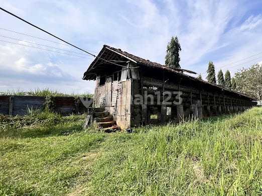 Lahan Tanah Bekas Peternakan Ayam Di Polokarto Lahan Tanah Bekas Peternakan Ayam Di Polokarto