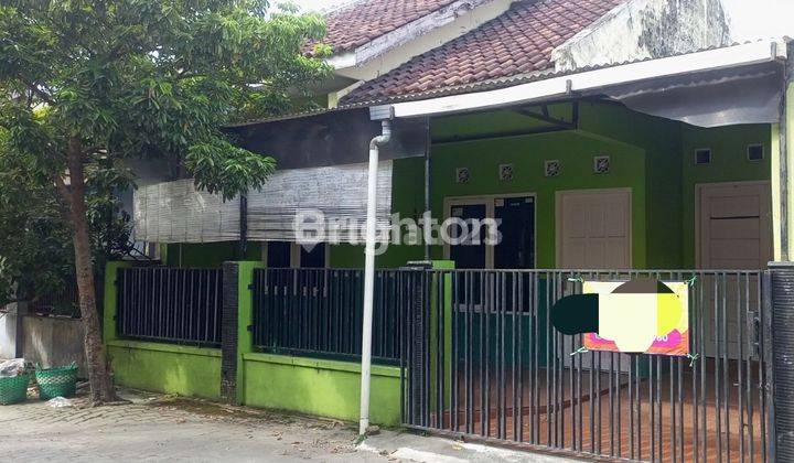 RUMAH MINIMALIS DEKAT DENGAN KAMPUS RM SAID 1