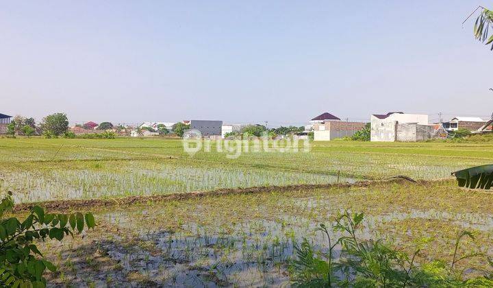 Tanah Siap Bangun Cocok Untuk Lahan Industri 2