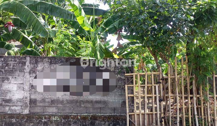 Tanah Kering Siap Bangun Di Lingkungan Pemukiman  2