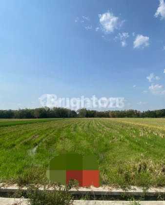 Land Ready to Build Near Adisoemarmo Airport