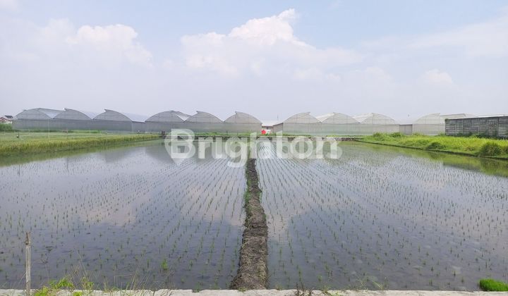 BUILD-READY LAND NEAR COLOMADU TOLL EXIT BUILD-READY LAND NEAR COLOMADU TOLL EXIT