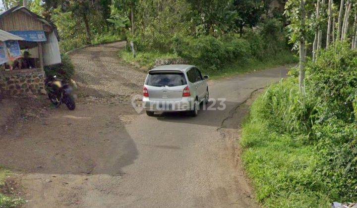 Dijual Tanah Kebun Wonosalam Jombang Harga Nego  2