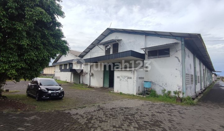 Tambak Sawah Surabaya Warehouse Near Rungkut Toll Road Tambak Sawah Surabaya Warehouse Near Rungkut Toll Road